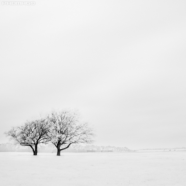 fullsize_20081012191449_snow.jpg