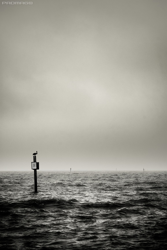fullsize_20081012191651_grey.jpg