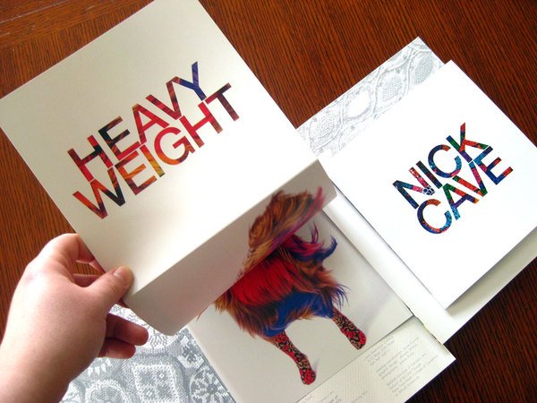 Nick&nbsp;Cave创意折页画册设计 - 画册设计3980.jpg
