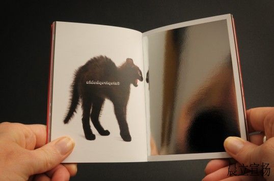 The Little Book of Phobias - L_5.jpg